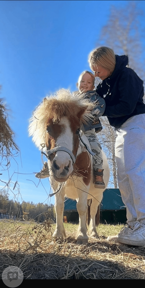 Finaste Mini söker sin nya människa 😍🦄 - bild 3