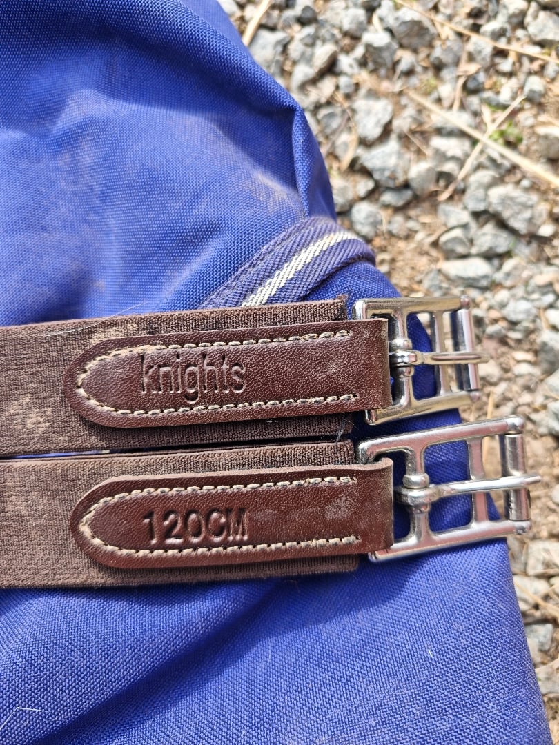 Brun sadelgjord  - bild 2