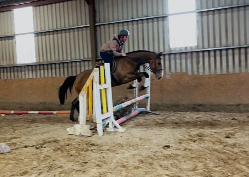 Kind Allround Mare - bild 1