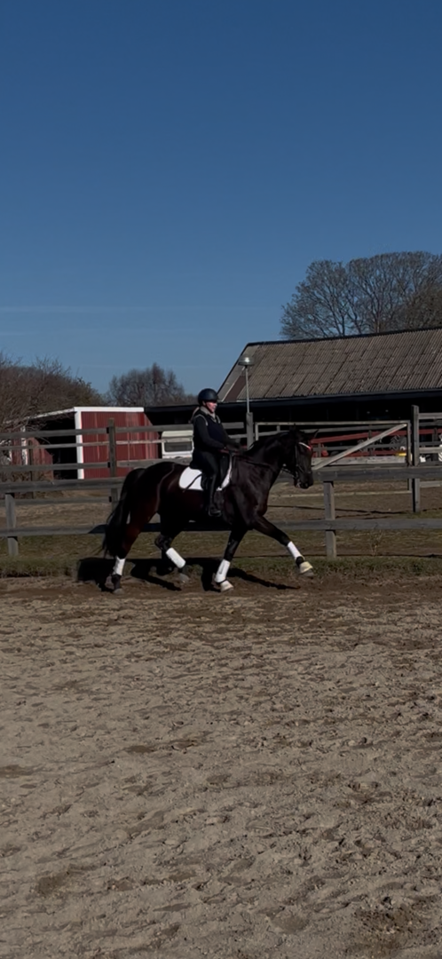 Swb sto söker sin nästa person❣️ - bild 1