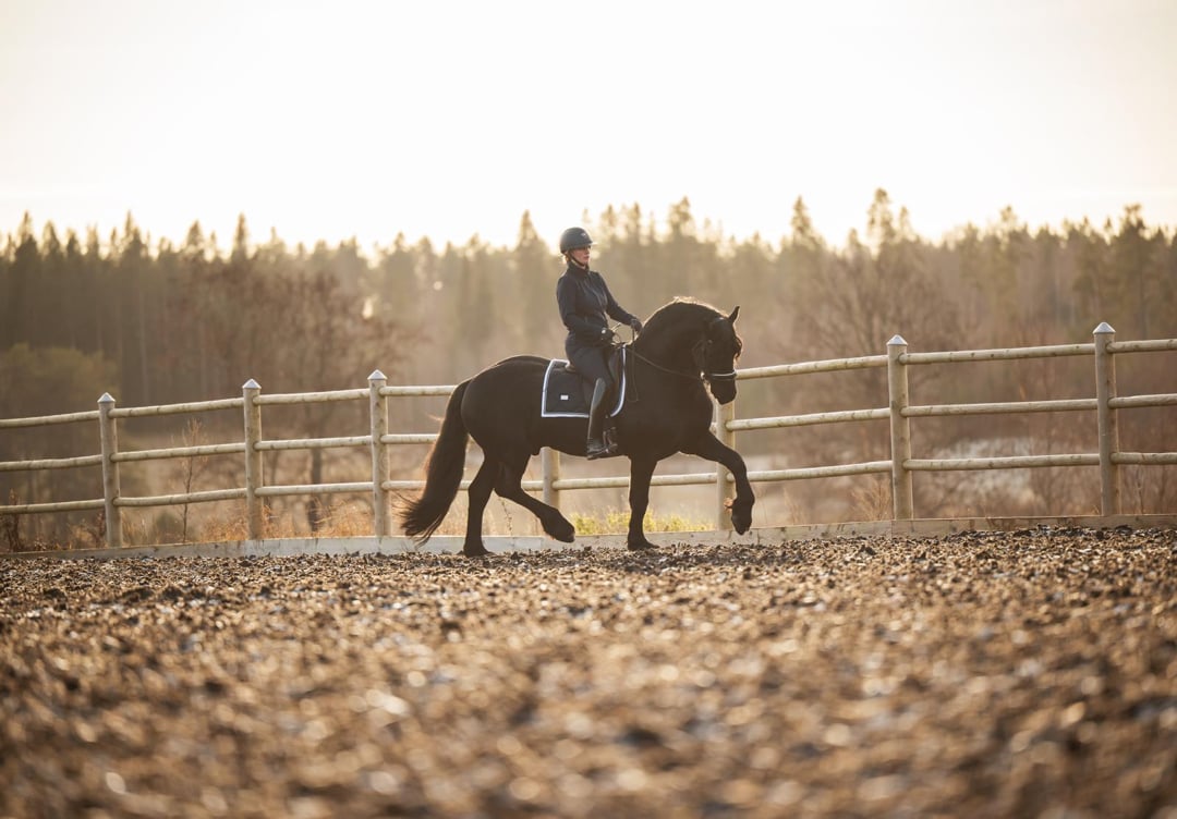 Matheus af Gisslarbo