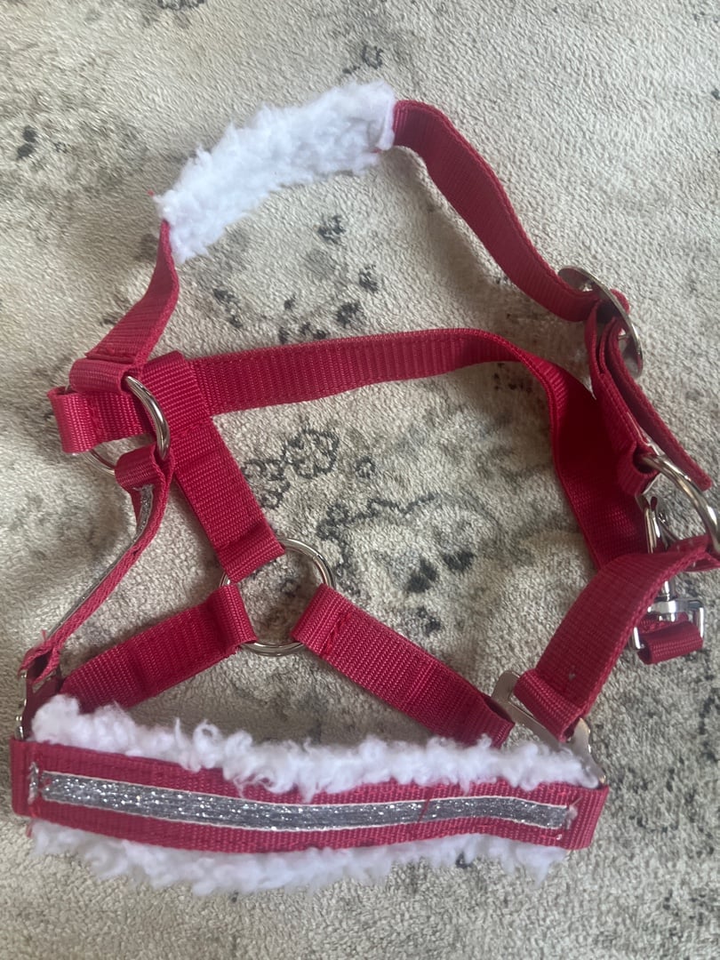 Röd shetland grimma