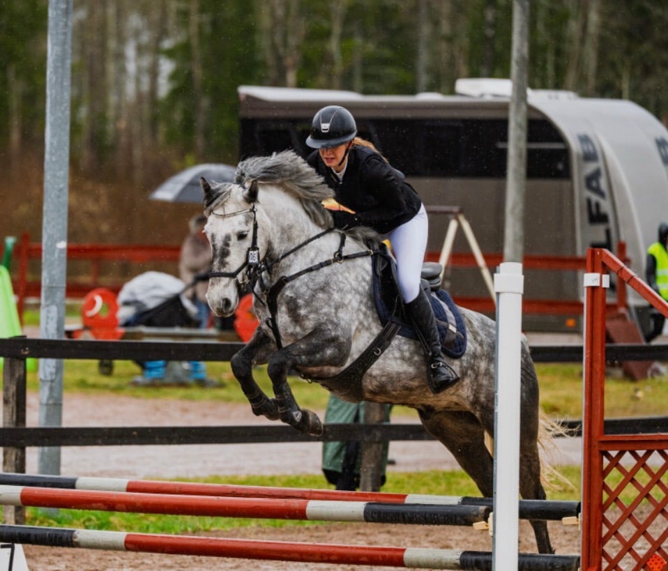 Dröm ponny för framtiden - bild 1