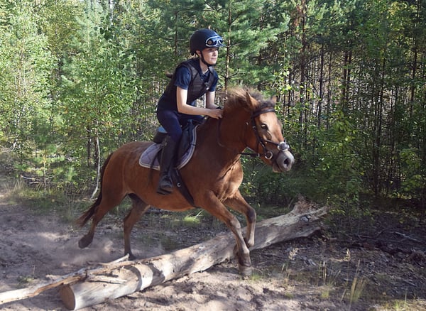Bild 4 av Brunskogs Carla