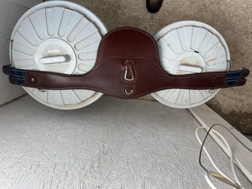 Brun sadelgjord ifrån Equality Line