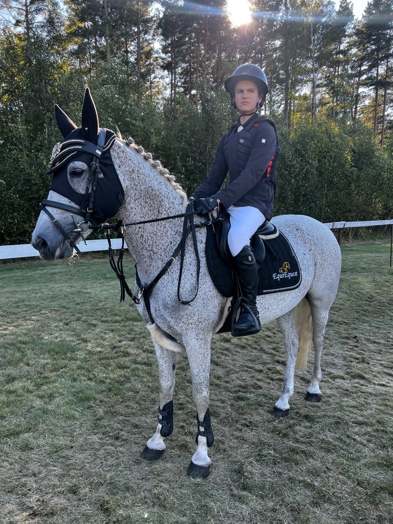 Häftig c-ponny söker ny kompis - bild 3