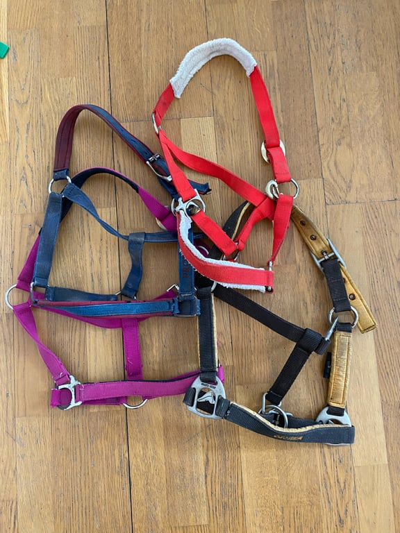 Shetland Grimmor paket