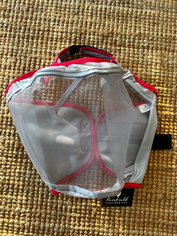 Flughuva utan öron - bild 2