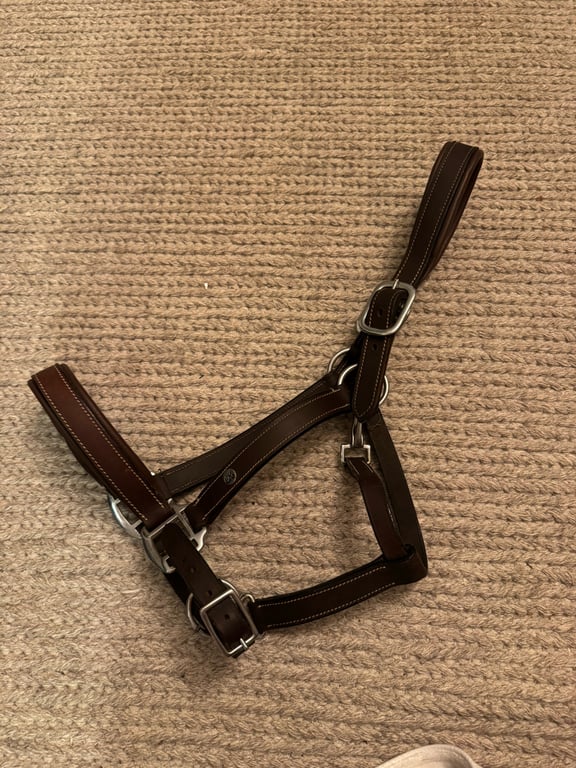 Brun lädergrimma - bild 1