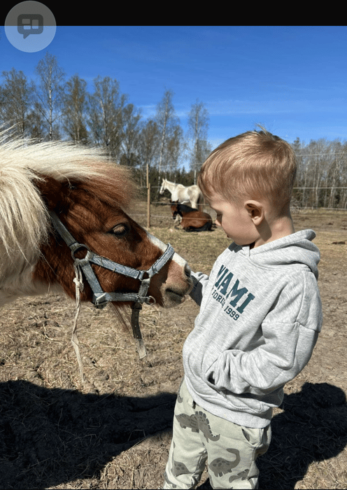 Finaste Mini söker sin nya människa 😍🦄 - bild 2