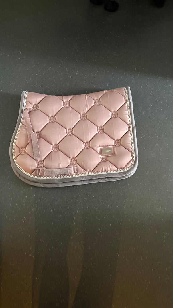 Rosa schabrak från ES  - bild 2