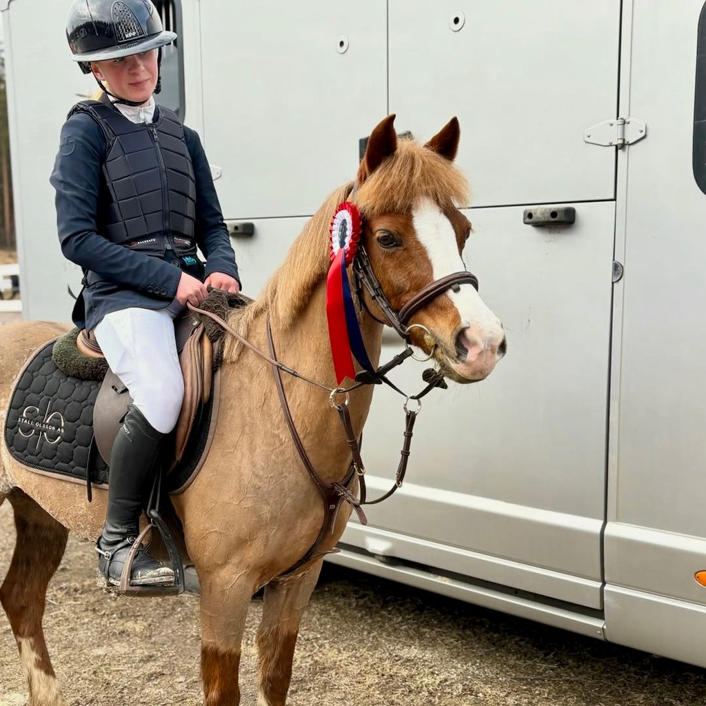 Sockersöt Kvalitetsponny som har allt! - bild 1