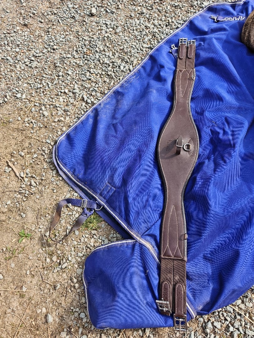 Brun sadelgjord  - bild 1