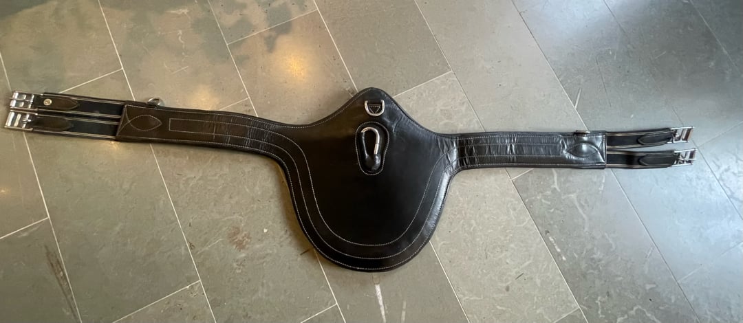 Svart sadelgjord - bild 1