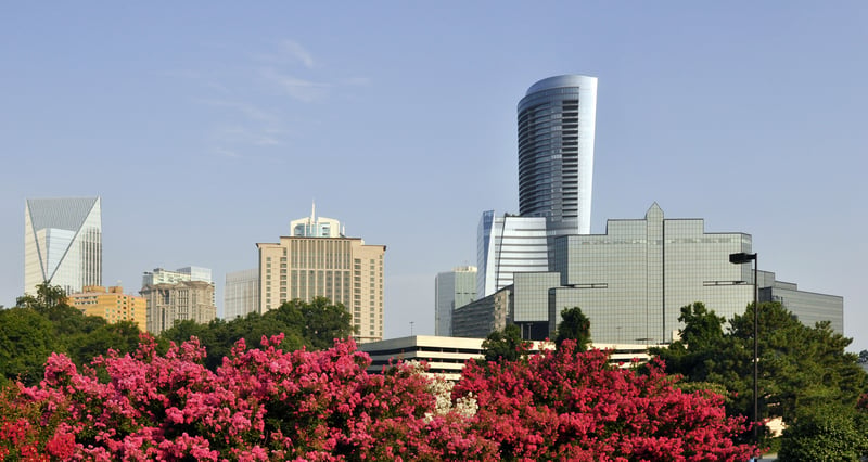 Buckhead's high-rise skyline in Atlanta, Georgia, framed by trees and flowering shrubs.