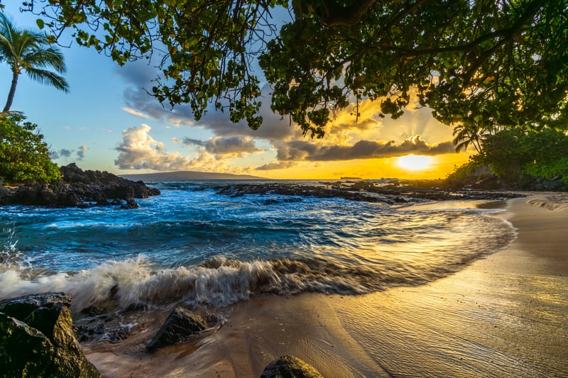 Palm trees and waves along a sandy beach on Maui, Hawaii, at sunset.