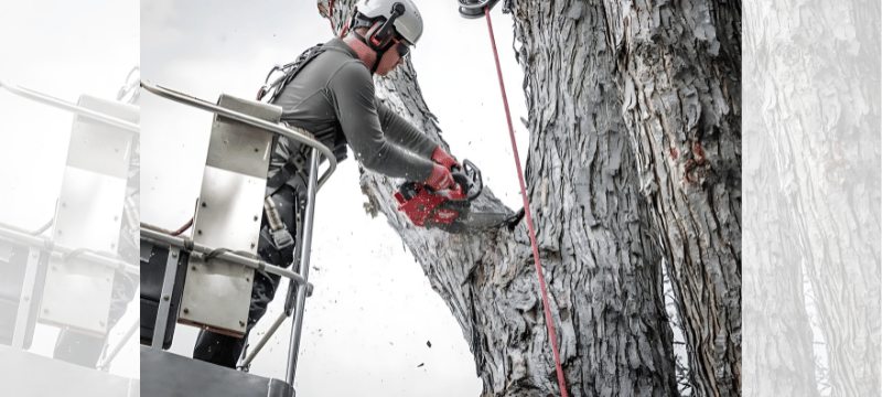 Harnessing Hope: A Lineman&rsquo;s Diary from the Eye of Storm