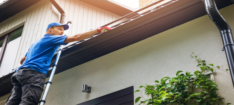 Outdoor Spring Cleaning: Tips, Tricks & Checklist