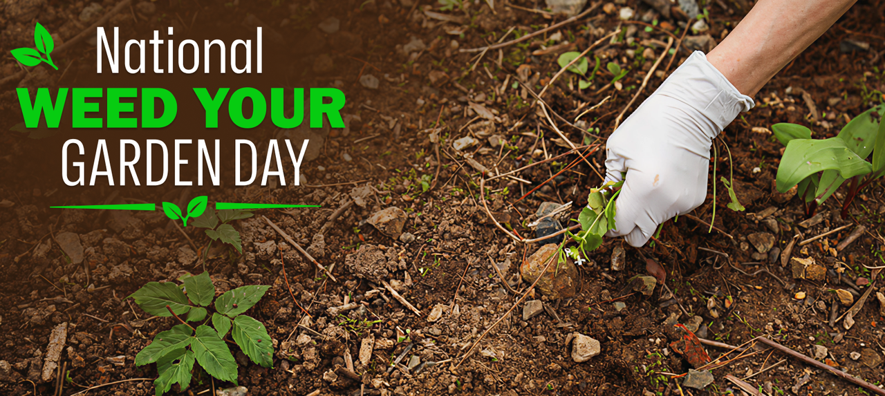National Weed Your Garden Day