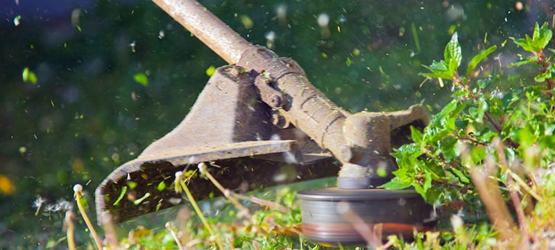Weed Eater, Strimmer, or Weed Whacker… What Do You Call It?