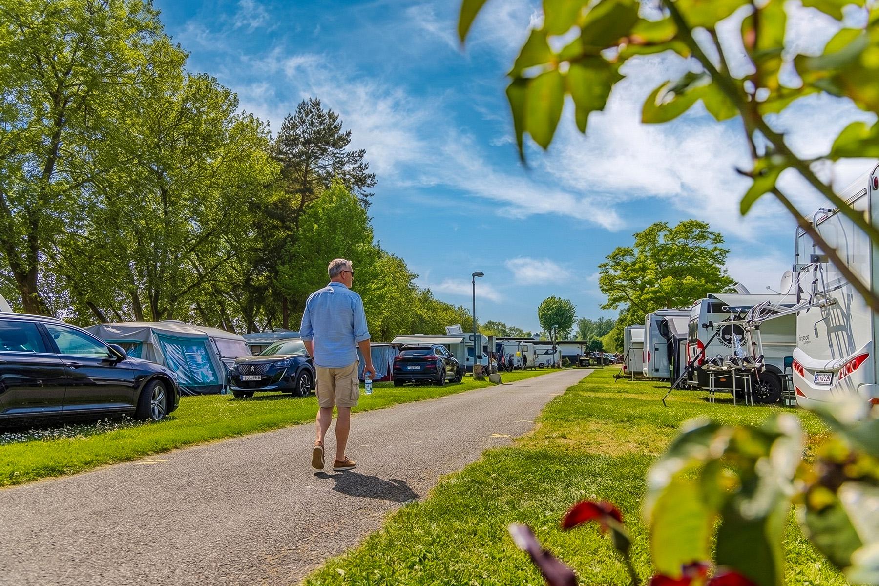 Rheingaucamping Geisenheim – feriegæst går på hovedstien mellem pladser med campingvogne og parkerede biler under store træer, forårsblomstre i forgrunden