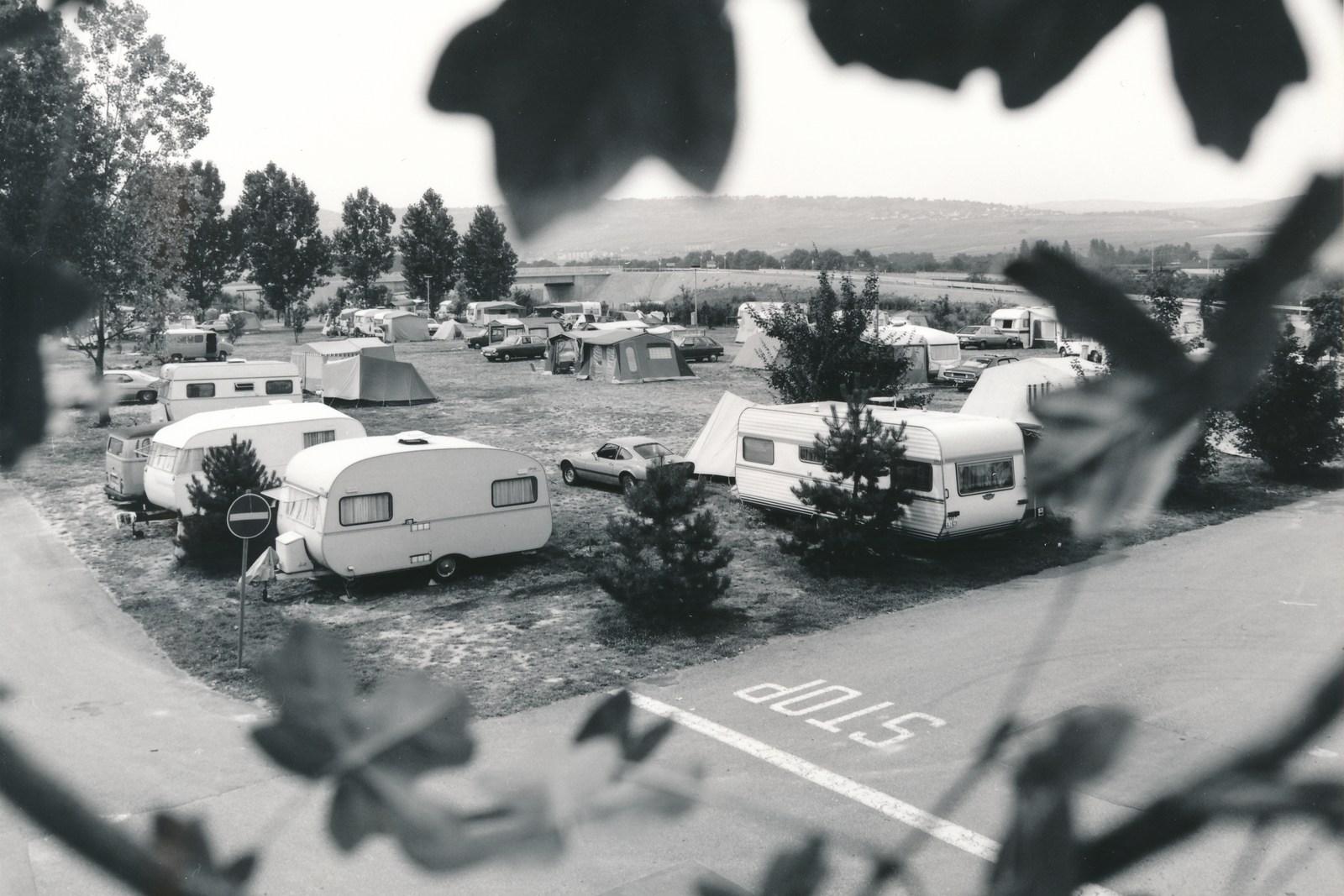 Zwart-witfoto van Rheingaucamping uit vroegere decennia – caravans op de wei, door het gebladerte gefotografeerd