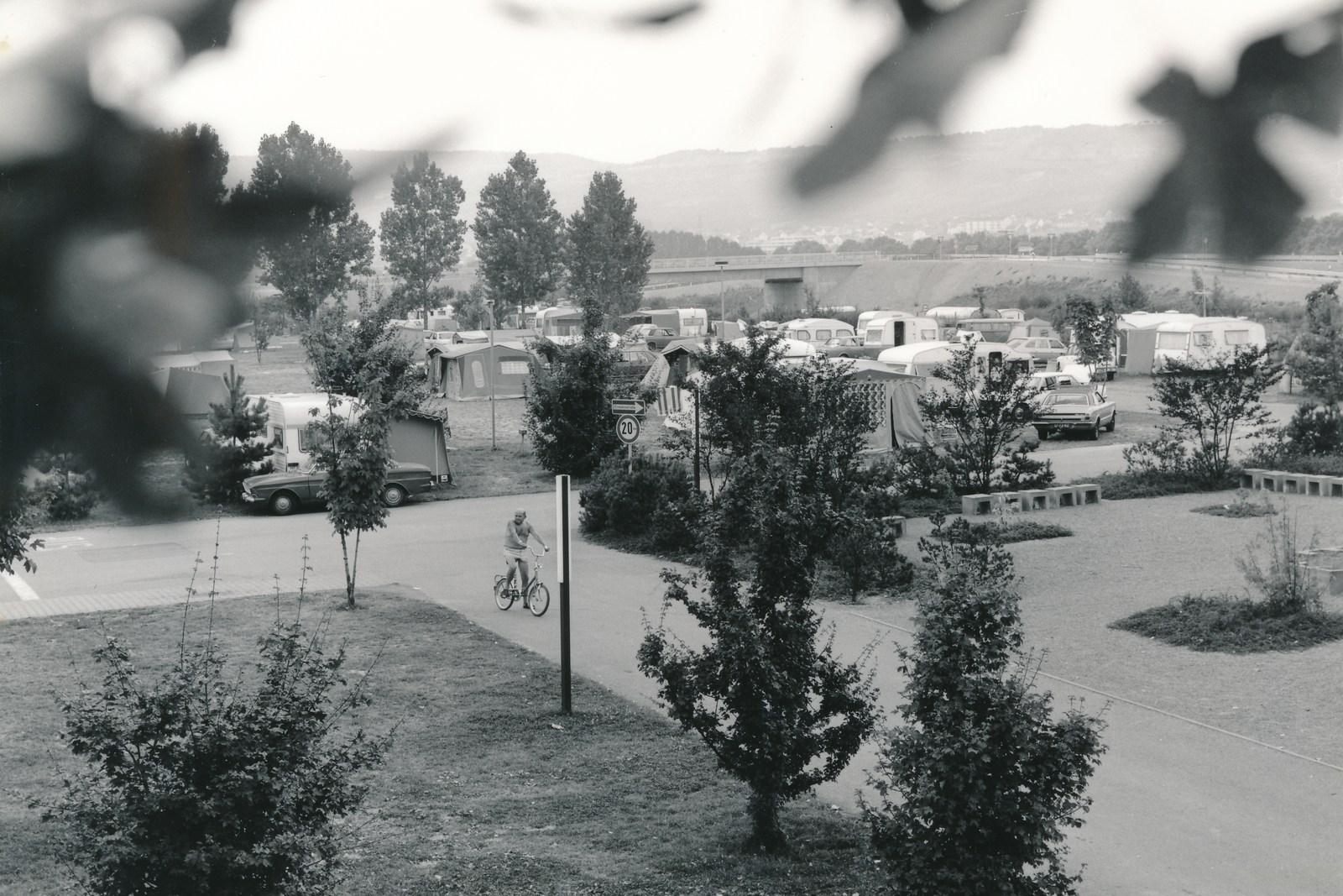 Weids uitzicht over de vroegere camping – een fietser op het pad, caravans en tenten, daarachter de wijngaarden