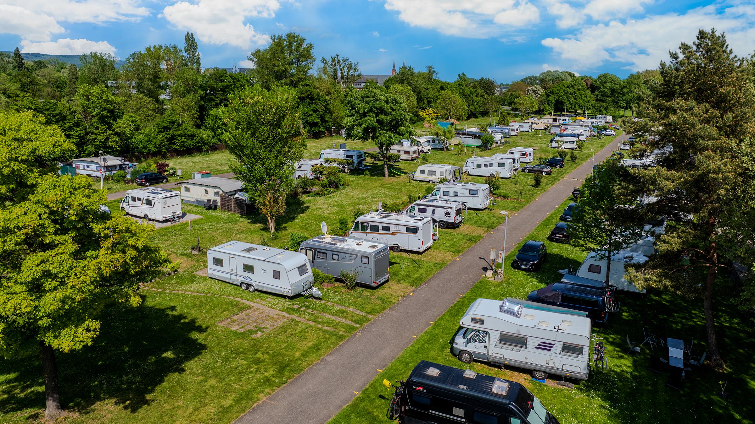 Rheingaucamping Geisenheim – flygfoto av campingplatsen med husbilar och husvagnar i rader på gröna platser längs en väg, i bakgrunden träd, ett kyrktorn och skogsklädda kullar