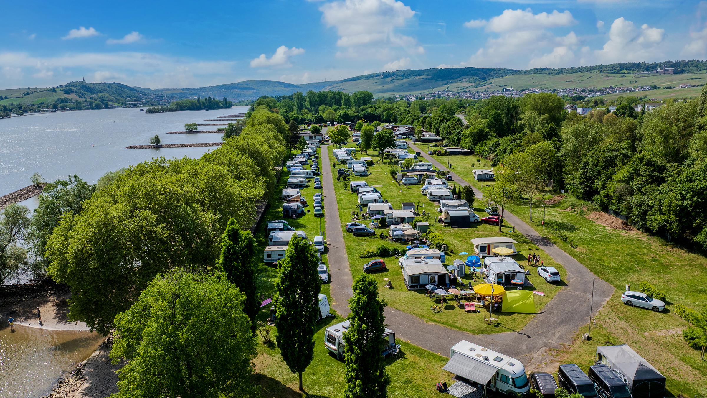 Rheingaucamping Geisenheim – luftfoto af campingpladsen ved Rhinen med campingvogne og autocampere på grønne pladser, den brede flod med høfder, og bagved vingårde og bakker i Rheingau under en blå himmel