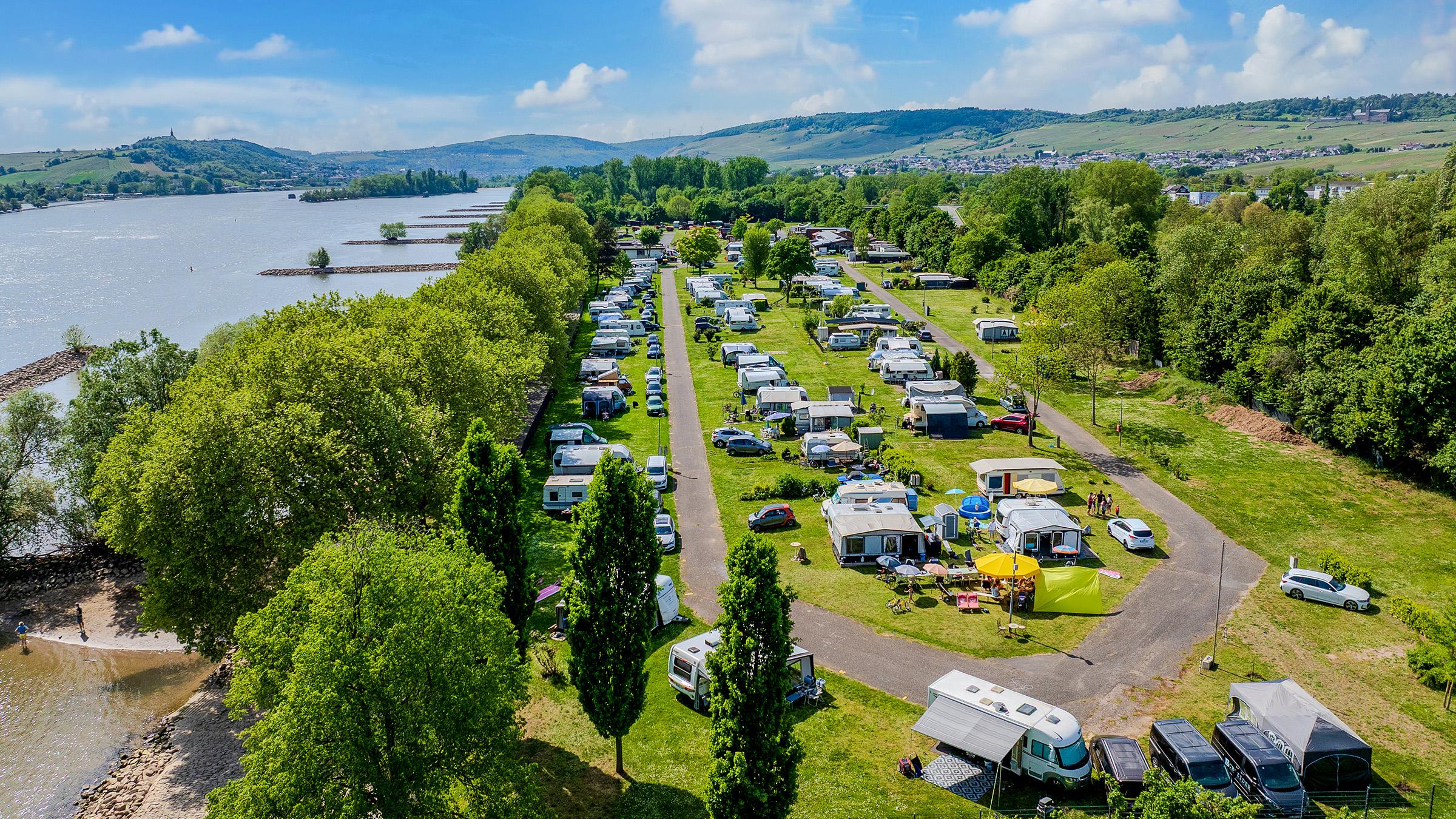 Rheingaucamping Geisenheim – dronefoto af den grønne campingplads med autocampere, campingvogne og telte direkte ved Rhinens bred i Rheingau