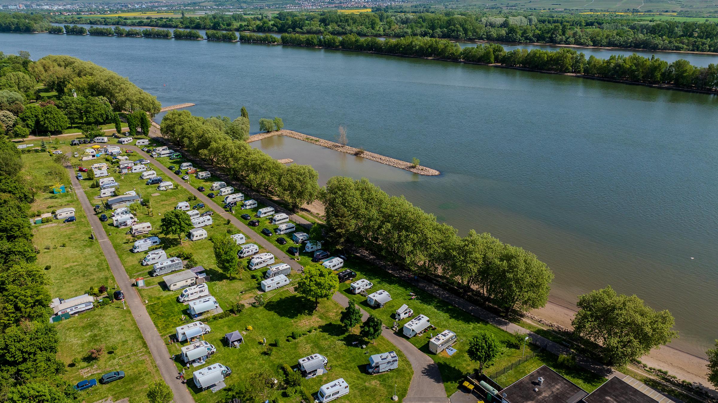 Rheingaucamping Geisenheim – luftfoto af campingpladsen ved Rhinen med campingvogne og autocampere i rækker på grønne pladser, den brede flod med skovklædt bred og vingårde på den modsatte side