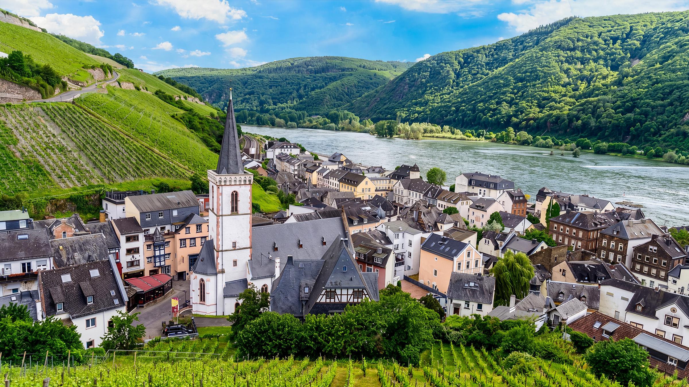 Rheingau-landsby ved Rhinen – malerisk gammel by med kirketårn, farverige bindingsværkshuse og vingårde direkte ved Rhinens bred i Rheingau