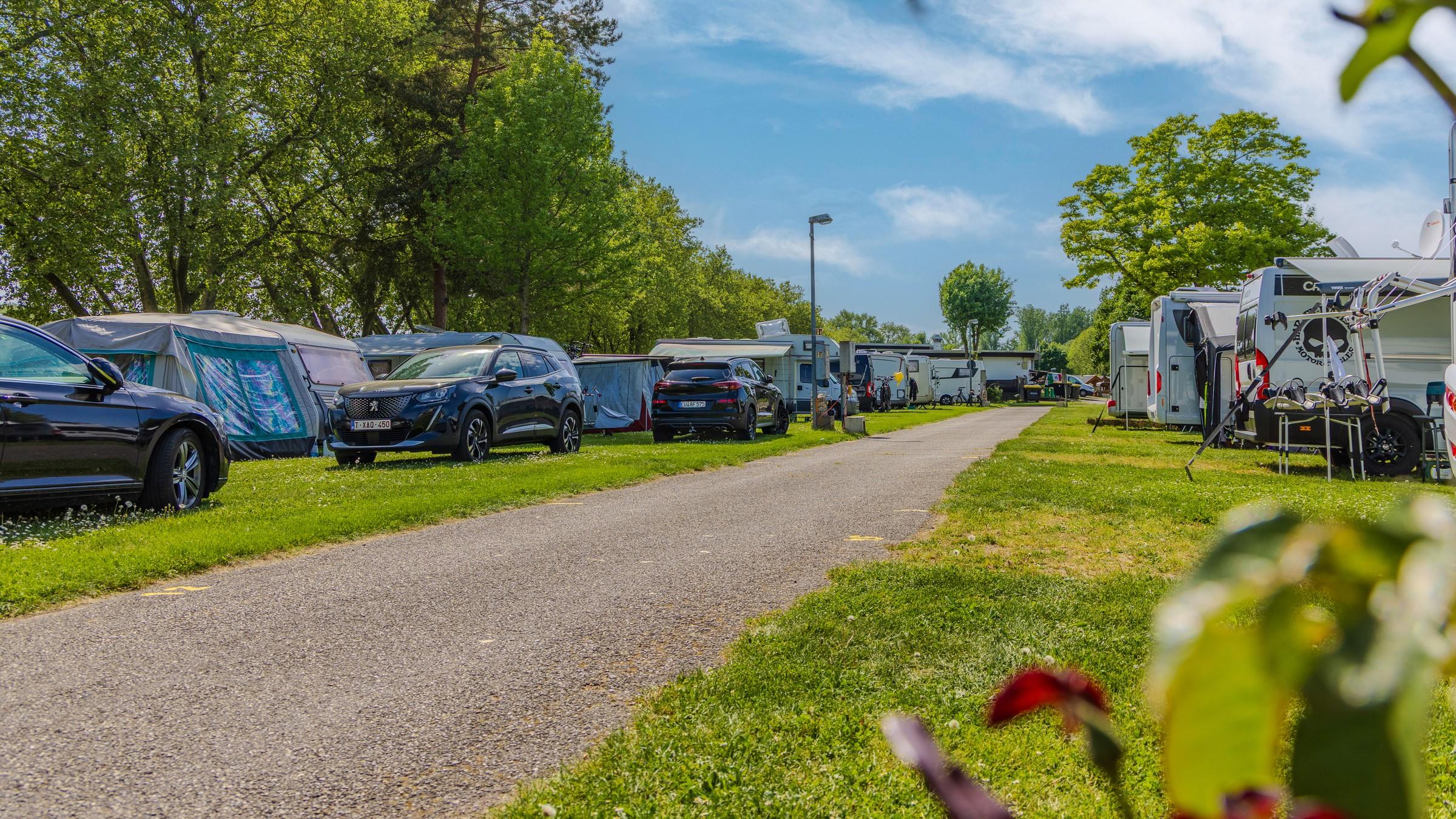 Vej mellem pladserne på Rheingaucamping Geisenheim – campingvogne og autocampere under høje træer