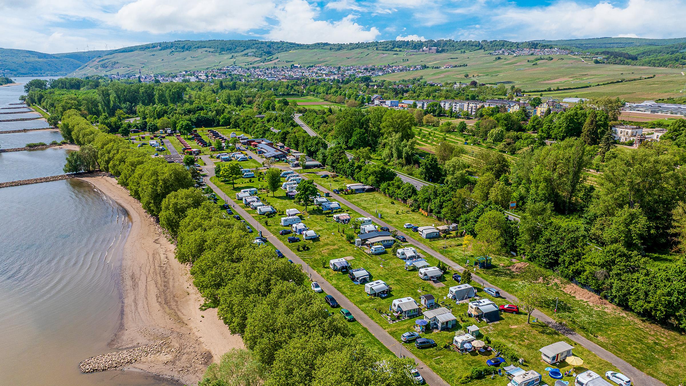 Luftfoto af Rheingaucamping Geisenheim – autocampere og campingvogne på pladser direkte ved Rhinens bred med sandstrand og vingårde i baggrunden