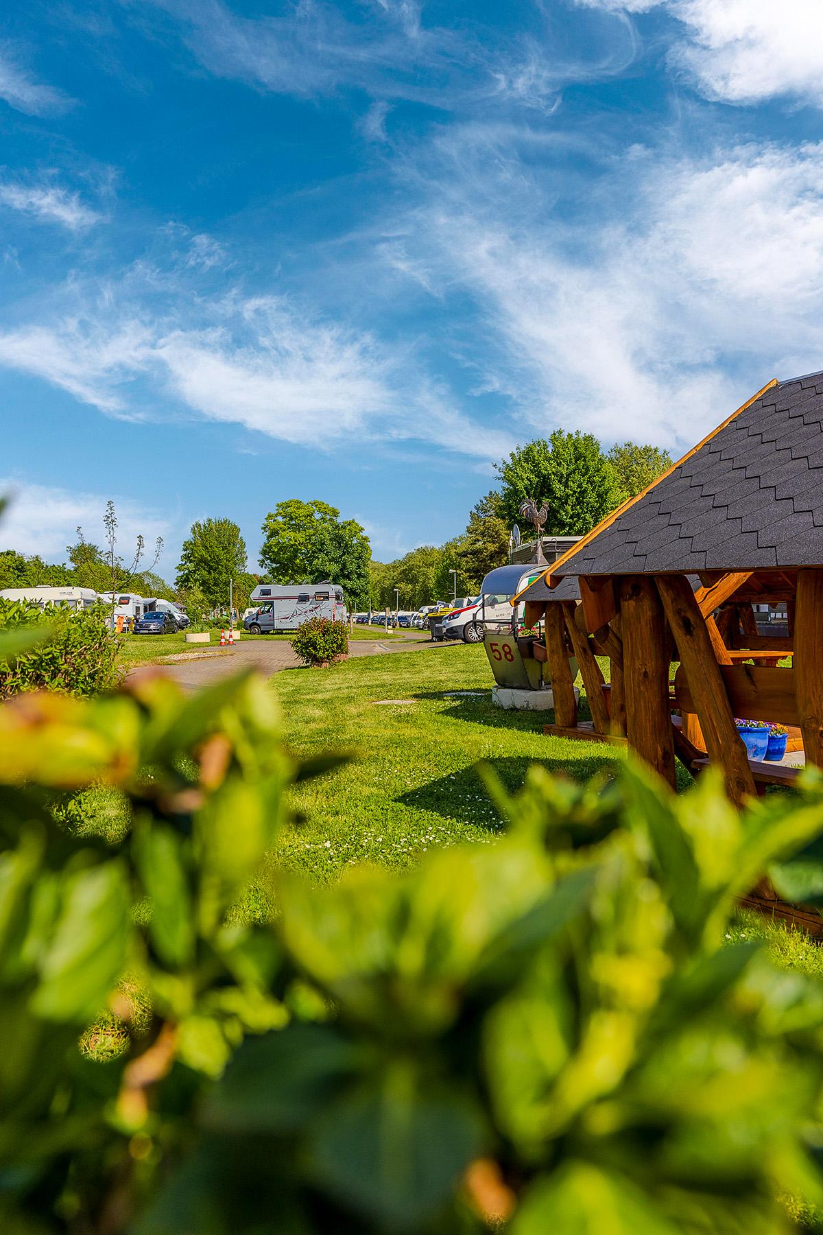 Rheingaucamping Geisenheim – udsigt over campingpladsen med træpavilion, velplejet græs og autocampere under blå himmel med slørskyer