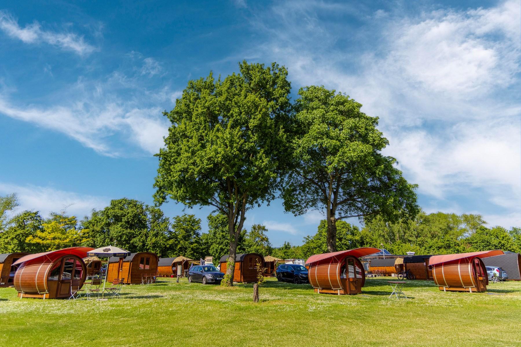 Tunnstugor hos Rheingau 524 Lodges under stora gamla träd