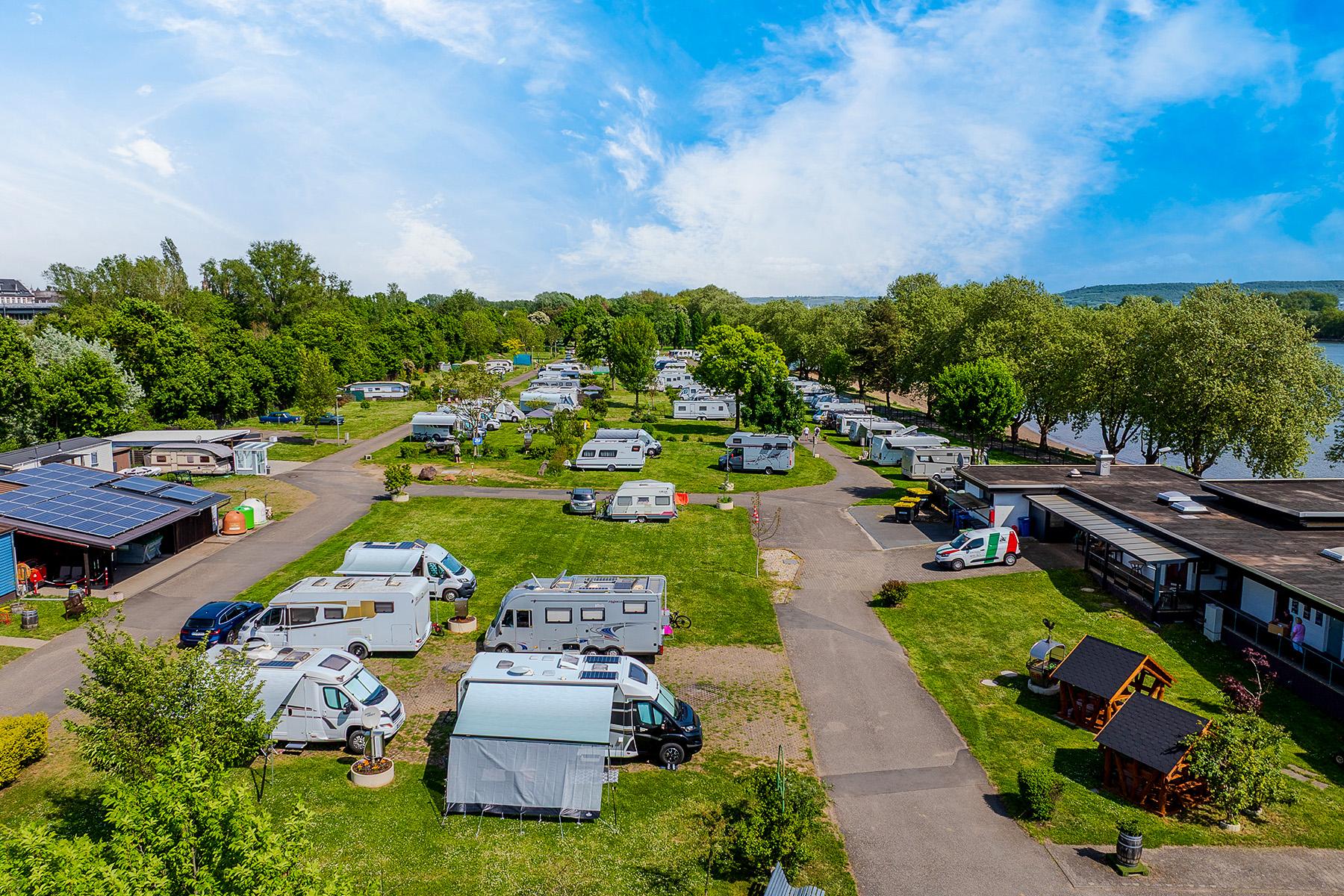 Luftfoto af Rheingaucamping Geisenheim – pladser med autocampere og campingvogne i rolige omgivelser direkte ved Rhinens bred, grønne træer og blå himmel