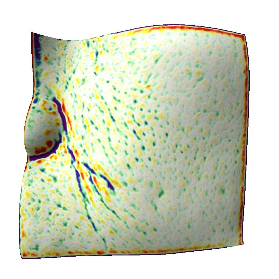 乾性敏感肌受試者使用前：Antera 3D 基線量測