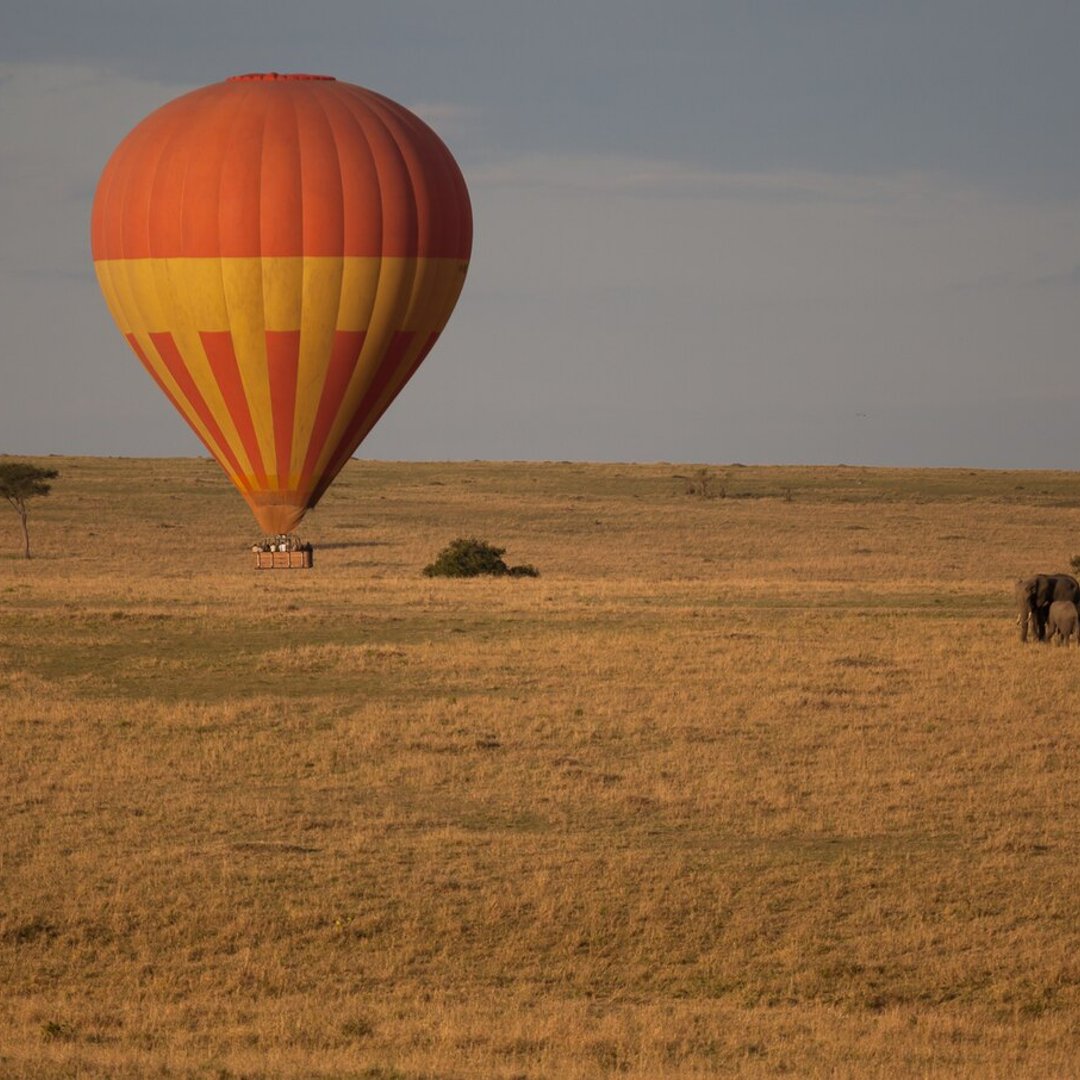 Maasai Mara, Kenya