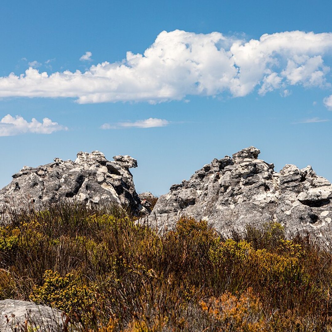 Table Mountain, Cape Town