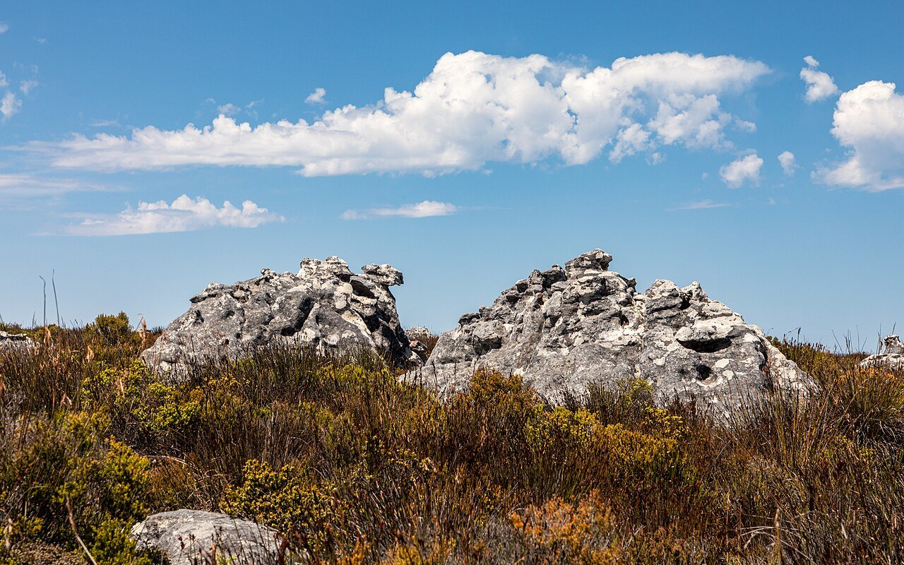 Table Mountain, Cape Town