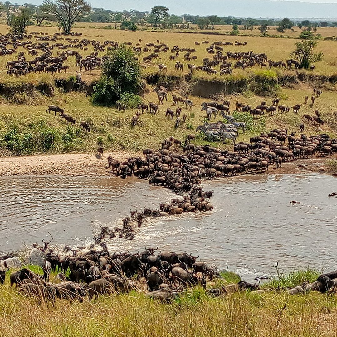 Maasai Mara, Kenya
