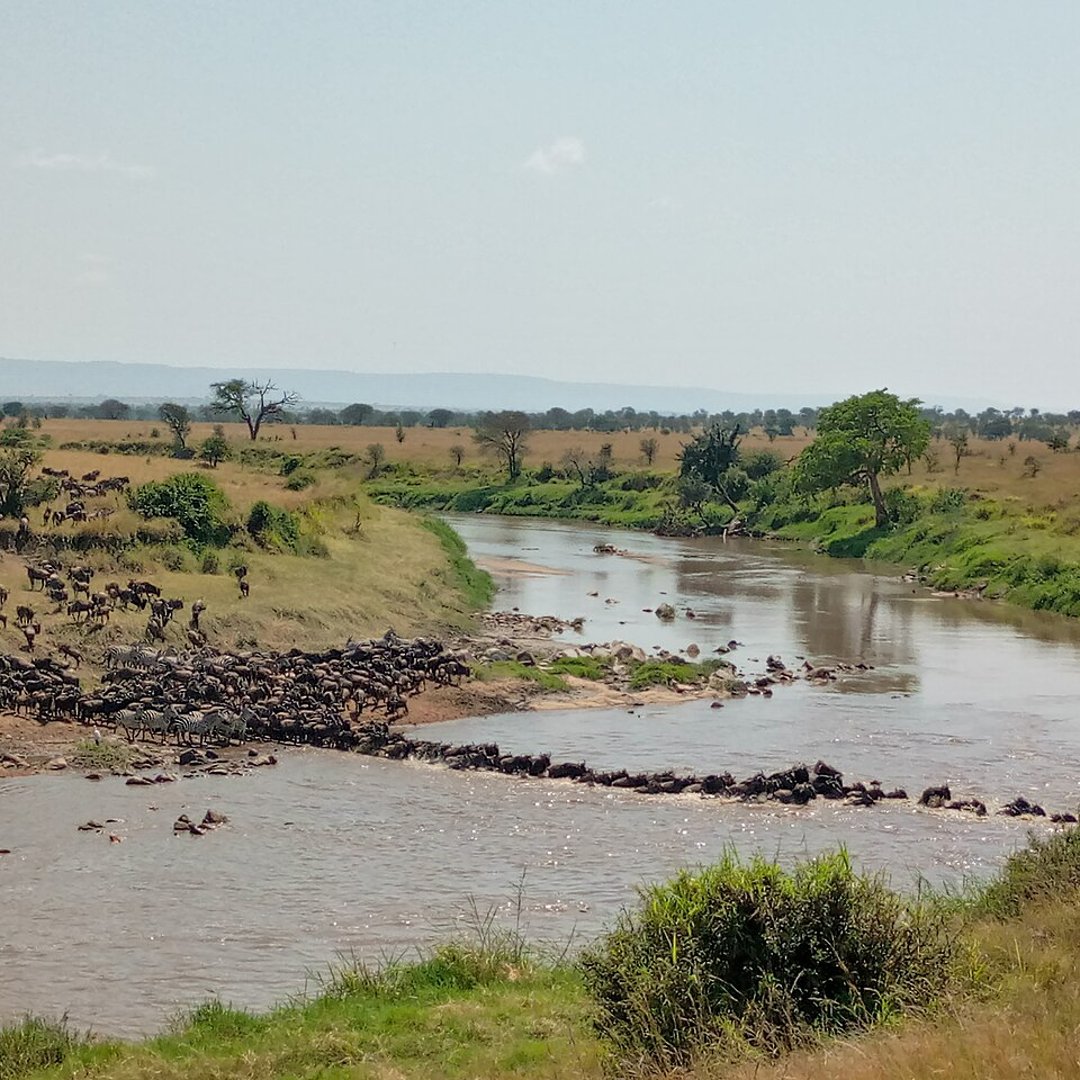 Maasai Mara, Kenya