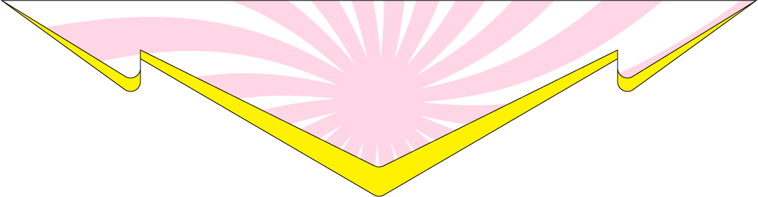 Loaded Image