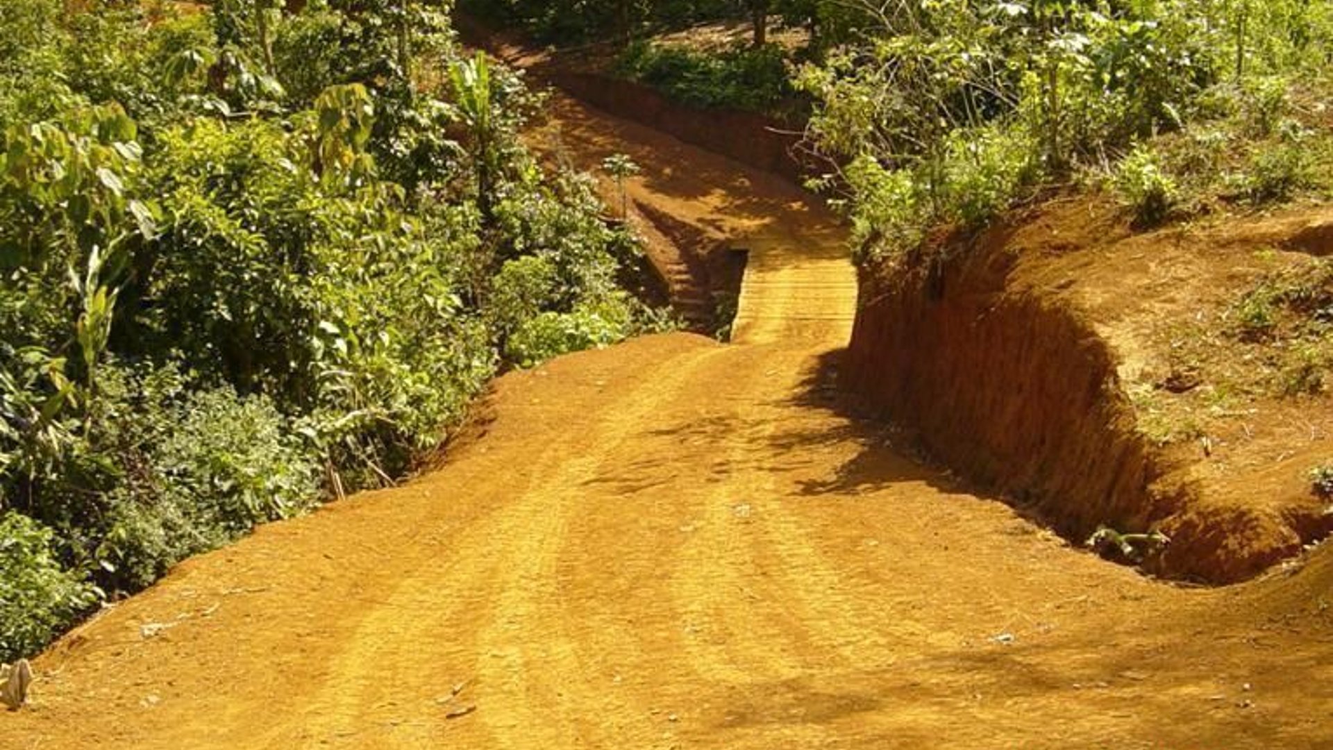 Fincas en VENTA en El estor Izabal y Alta Verapaz - Miniatura 2
