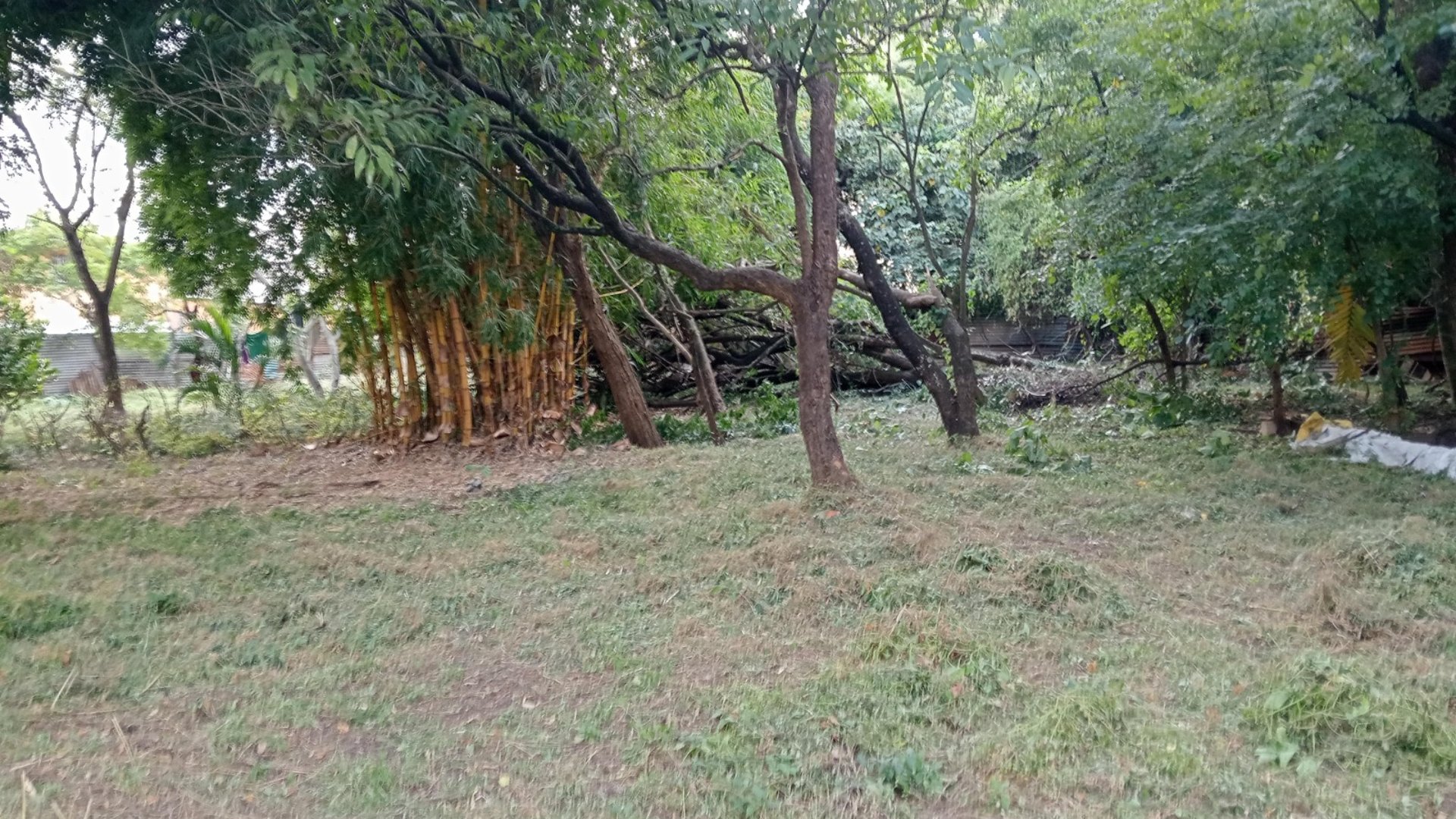 TERRENO EN VENTA – GUAJITOS, LOMA BLANCA | ZONA 21 - Miniatura 3