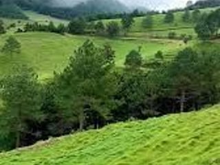 Terreno en Venta en San José Pinula hacia Palencia – Ideal para Industria - 2