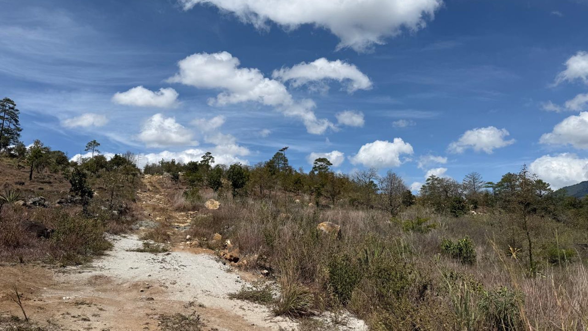 Bello Terreno En Venta En Ciudad Palmeras, Jalapa - Miniatura 3