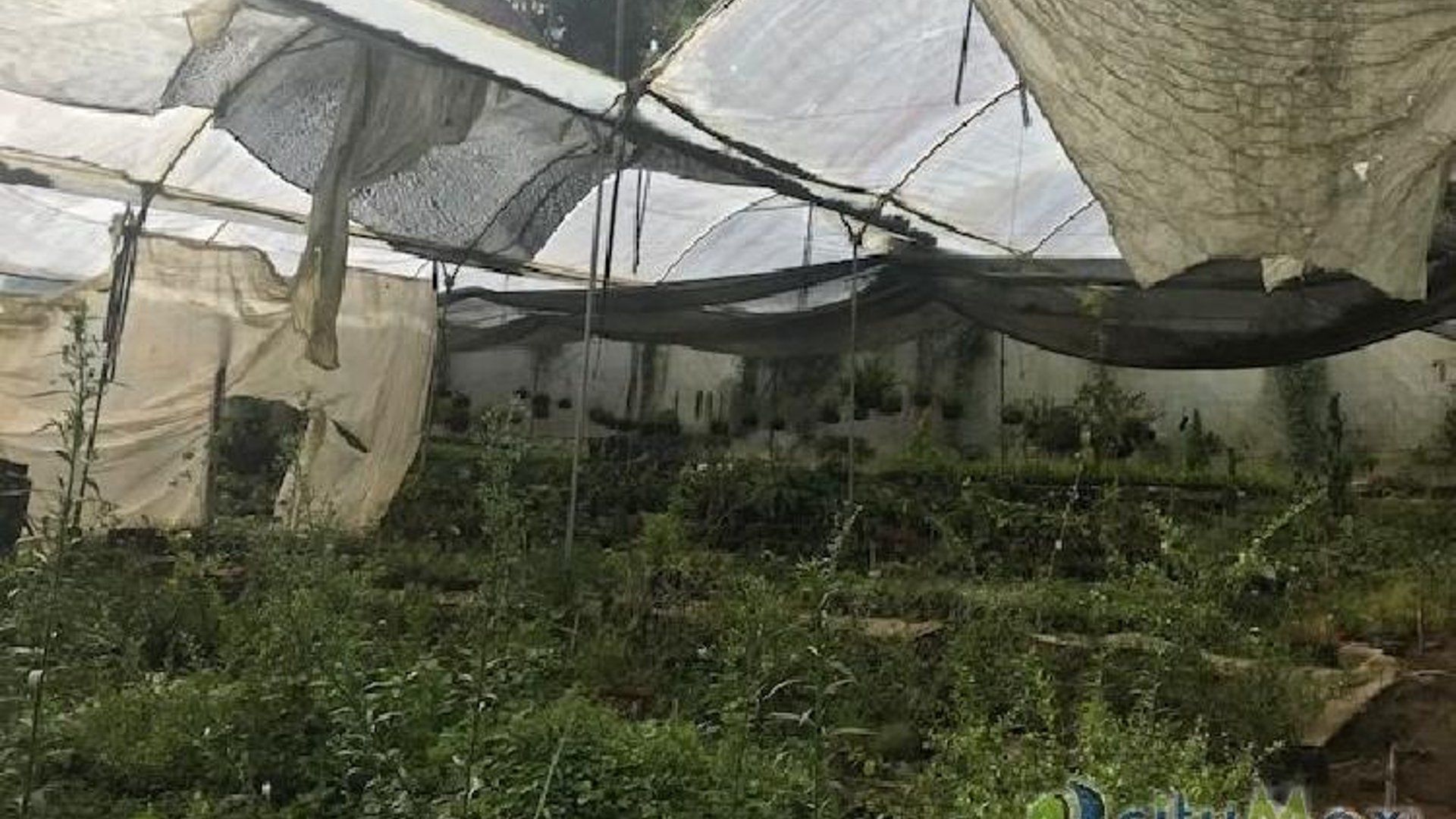 Terreno en venta para desarrollo en San José Pinula - Miniatura 11