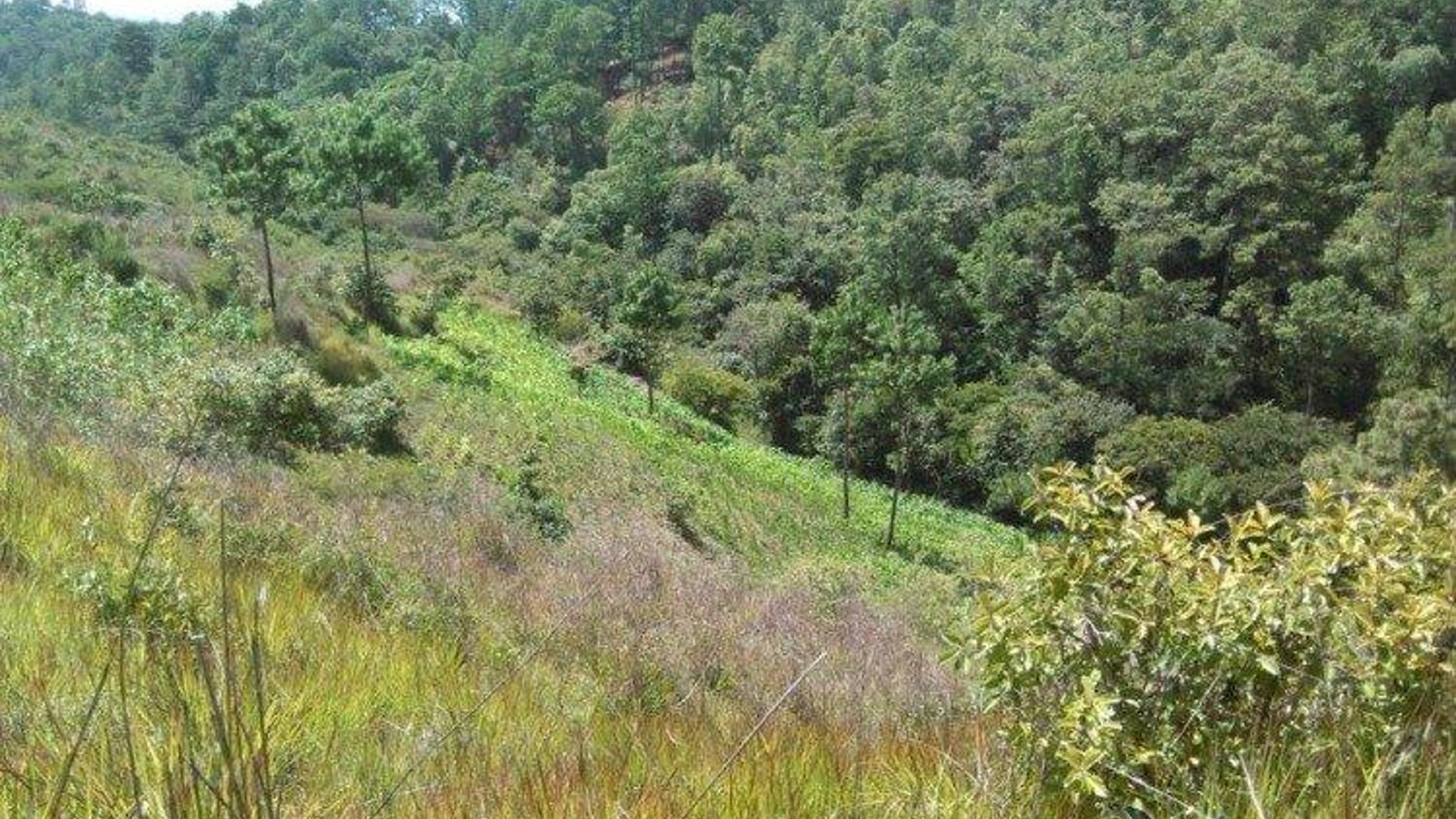Vendo terreno en San Pedro Sacatepéquez - Miniatura 5